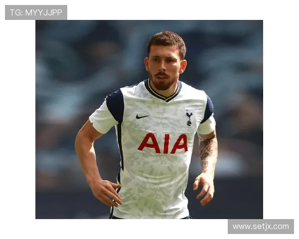 霍伊别尔在热刺表现