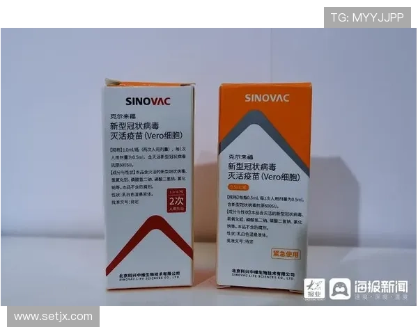 专家一致看好谁获得L组头名?
